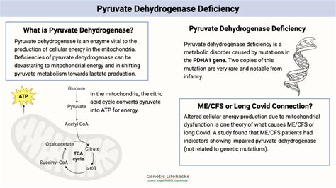 Image result for Pyruvate Dehydrogenase Complex Deficiency
