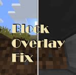Image result for Block Overlay Mod Minecraft 1.16.1 Java