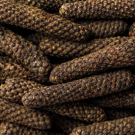 Red Long Pepper, Cambodian, Kampot Variety - The Reluctant Trading ...