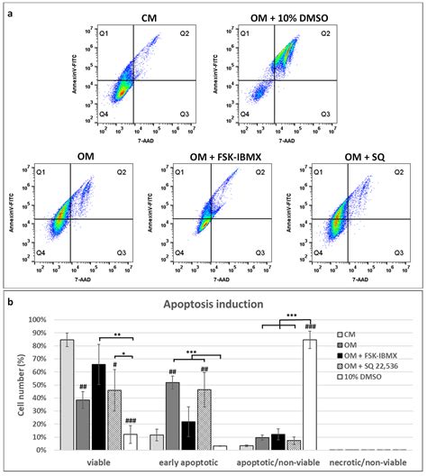 Effect of cAMP Signaling Regulation in Osteogenic Differentiation of ...