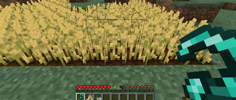 Image result for Real Minecraft Tools