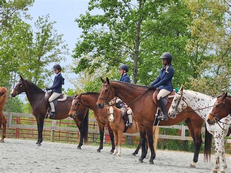TPH Donna Toms Memorial Open Horse Show, Hat Creek Equestrian - Home of ...