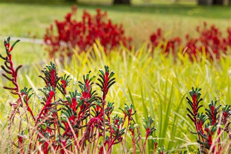 Understanding Your Rental Rights for a Healthier Home, room 515/207 ...