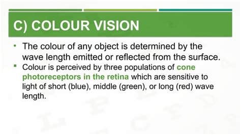 Image result for Pinhole Visual Acuity Test