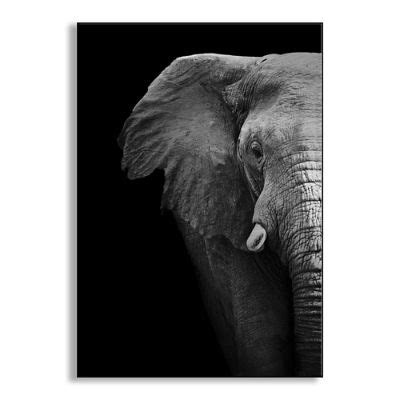 Elephant Close Up Metal Wall Art | Grandin Road