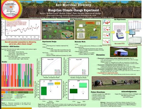 Research Poster Examples 的图像结果
