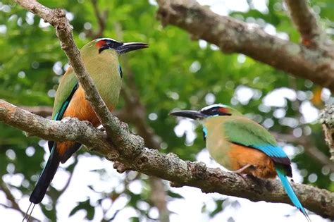 Image result for Java Design Paetterns