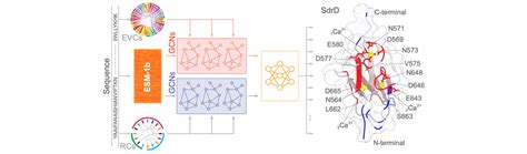 Image result for Machine Learning for Protein Engineering