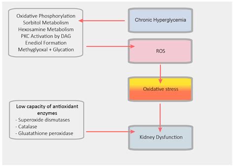 Thromboembolic and Bleeding Risk in Atrial Fibrillation Patients with ...
