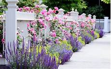 Flowers Garden Wallpapers by Flower Garden Wallpapers Best Wallpapers Flowers Garden Wallpapers