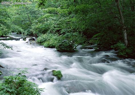 溪流水源0024-自然风景图-自然风景图库-溪水 水流 树木-图行天下素材网