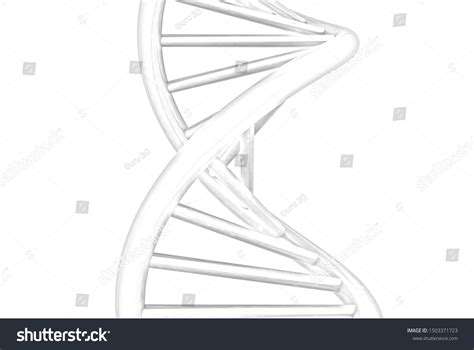 DNA Model Drawing 的图像结果