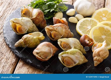 Raw Edible Sea Snails, Whelks Close-up and Lemon, Parsley, Garlic on a ...