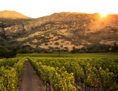 The 17 Best Napa Valley Wineries to Visit in 2024 - The Planet D