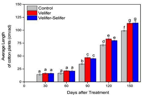 Use of Beauveria bassiana and Bacillus amyloliquefaciens Strains as ...