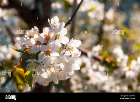 Image result for Function Random Names JS