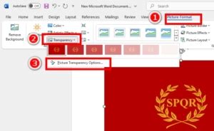 Local Word Transparent 的图像结果
