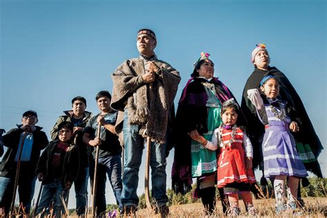 The People and Lands of Chile’s Indigenous Wine Movement | Wine Enthusiast