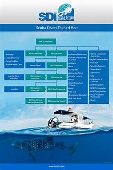 dive courses sdi or padi things to consider about scuba diving dive courses sdi or padi things to consider about scuba diving