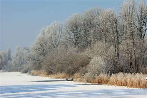 Winterwandeling Canisvliet, Bernhardstraat 80, 4554 BD Westdorpe ...