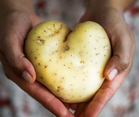 Image result for How to Use Micro Cooker Set Pampered Chef