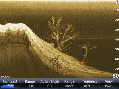 Image result for How to Read Side Scan Imaging