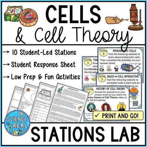 Cells Amoeba Sisters Video Handout - Science is Real Education