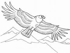 kinder malvorlagen adler ausmalbilder malvorlage adler kostenlos 3 ausmalbilder kinder malvorlagen adler ausmalbilder malvorlage adler kostenlos 3 ausmalbilder