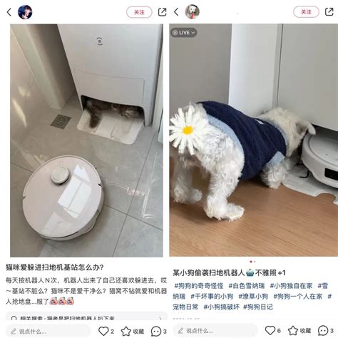 扫地机器人，为何在小红书上卷起来了？ - 资讯 - FossHub中文站,开源软件,电脑软件,手机APP下载,游戏攻略