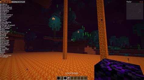 Wurst Hacking Client 的图像结果