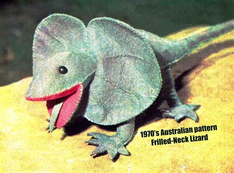 Frilled Dragon Lizard