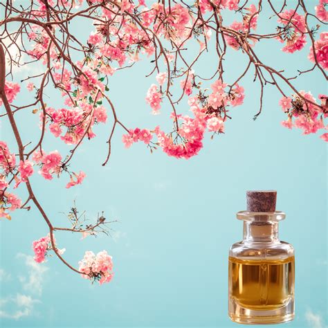 Cherry Blossom Fragrance FO54 – Wick and Pour