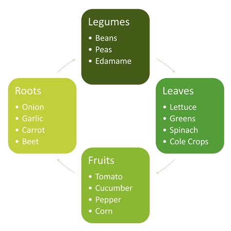 Image result for Crop Rotation