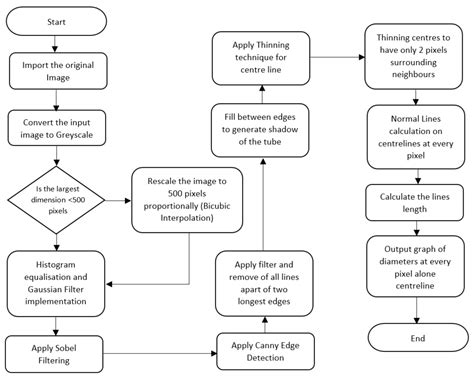 Diameter Estimation of Fallopian Tubes Using Visual Sensing