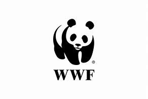 WWF 的图像结果
