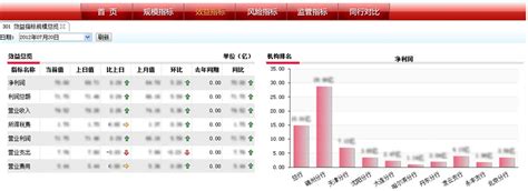 锦州银行数据决策系统综合应用—北京亿信华辰软件