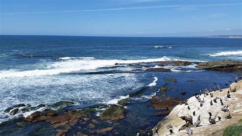 CHILDREN'S POOL (2026) All You Need to Know BEFORE You Go (with Photos ...