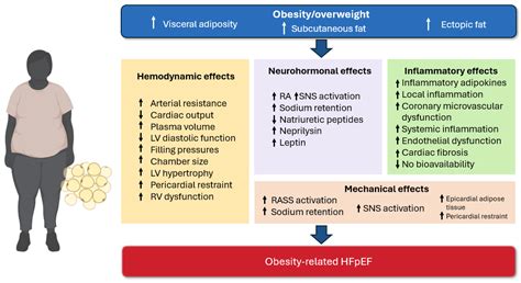 The Emerging Role of Glucagon-like Peptide-1 Receptor Agonists in the ...