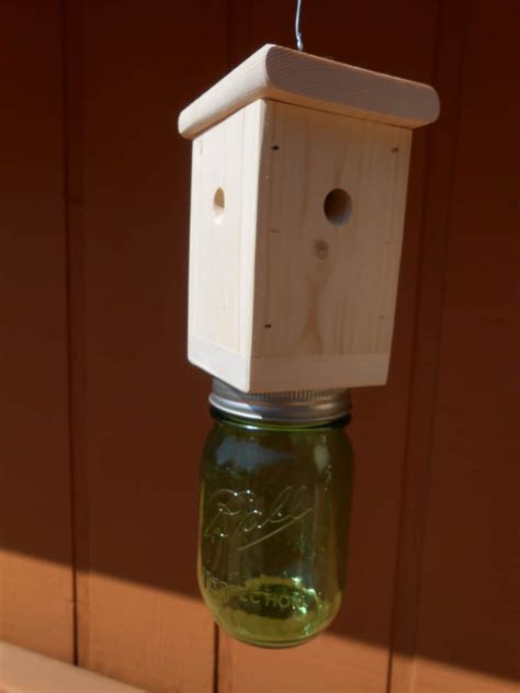 1 Carpenter Bee Trap Wood Boring Bee Trap by RecycleWoodCrafts