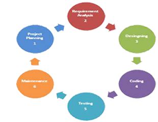 CineView IT Solutions