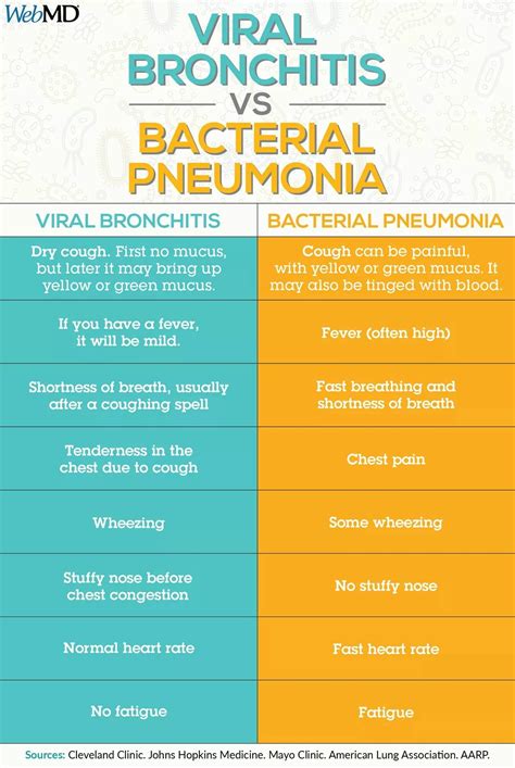 Virol Bronchitis vs Bacterial Pneumonia