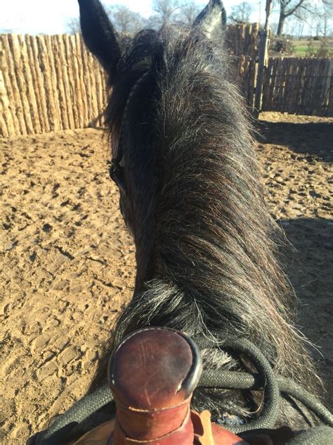 Man Rodeo Muscle Core 的图像结果