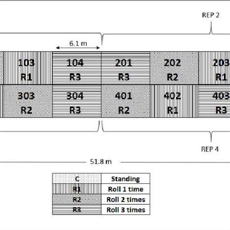 Block Design Experiment 的图像结果
