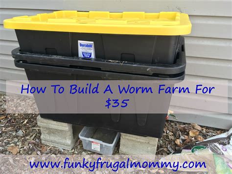 Basement Worm Farm 的图像结果