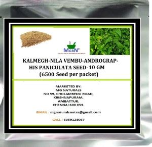 MGBN KALMEGH-NILA VEMBU-ANDROGRAPHIS PANICULATA SEED - 10 GM (6500 ...