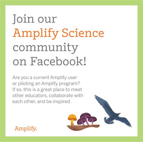 Teaching – Amplify