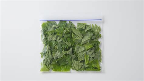 関連する画像の詳細をご覧ください。大葉保存！冷凍＆冷蔵の長期保存法と、しなびた時の復活法が便利｜カゴメ株式会社