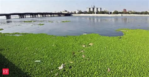 Sabarmati Riverfront project: Delegation from Pakistan visits Sabarmati ...