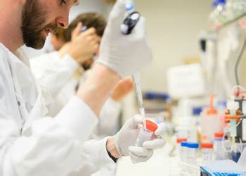 Image result for Identification Test Method Validation