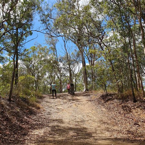 Staying Safe in the Bush, 47 Fleming Rd, Mount Coot-Tha QLD 4066 ...